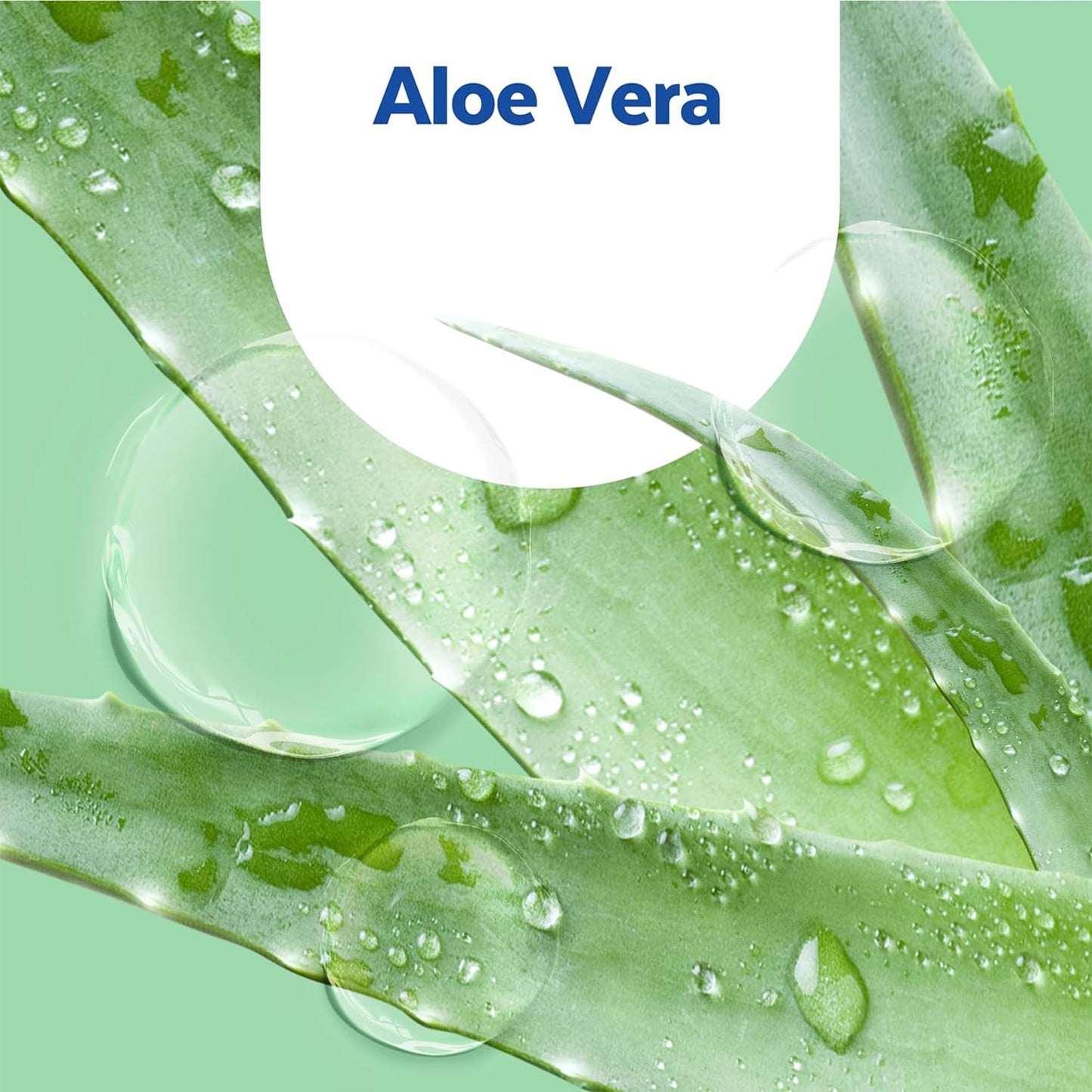 Sagrotan No-Touch Soap Dispenser Refill Soap Aloe Vera (5 x 250ml)