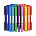 ACROPAQ ring binders in A4 format with spine labels (10 pieces): School folders